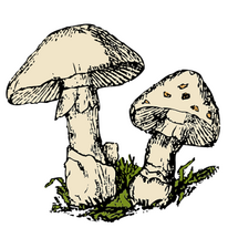 omg you should click me